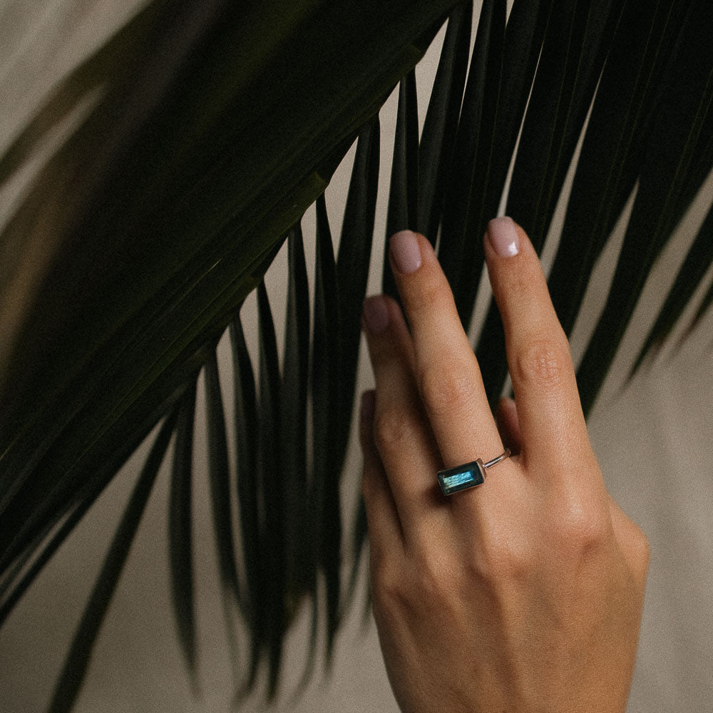 a baguette labradorite silver ring on a woman's middle finger touching a palm frond
